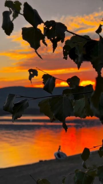 Квартира студия на озере Банное Якты-Куль РОДИНА