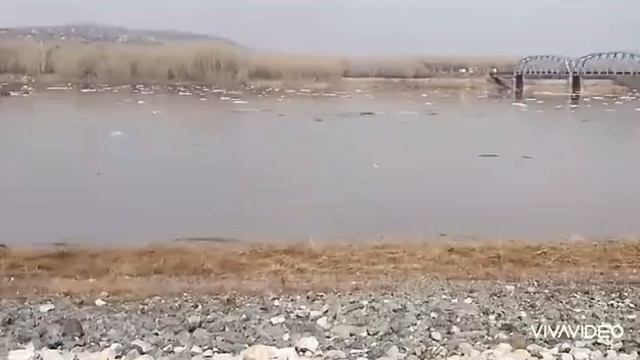 ЛЕДОХОД НА РЕКЕ ТОМЬ. НОВОКУЗНЕЦК . ЛЕДОХОД - ВИА  ЗДРАВСТВУЙ ПЕСНЯ