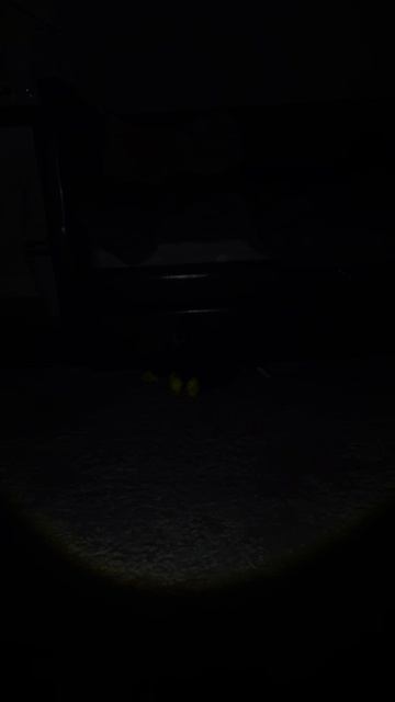 Бонусная ночь  будьте внимательнее в следующем видео