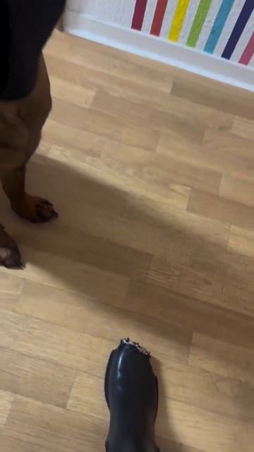 Весна пришла пора сапоги облегчить