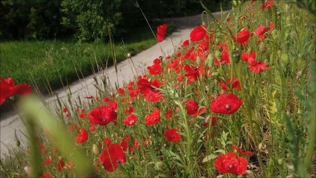 Срочно. 25 апреля - День чёрной луны. Неверный шаг лишит вас денег.