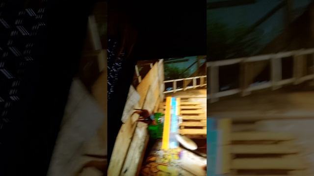 а б г д - это спрей