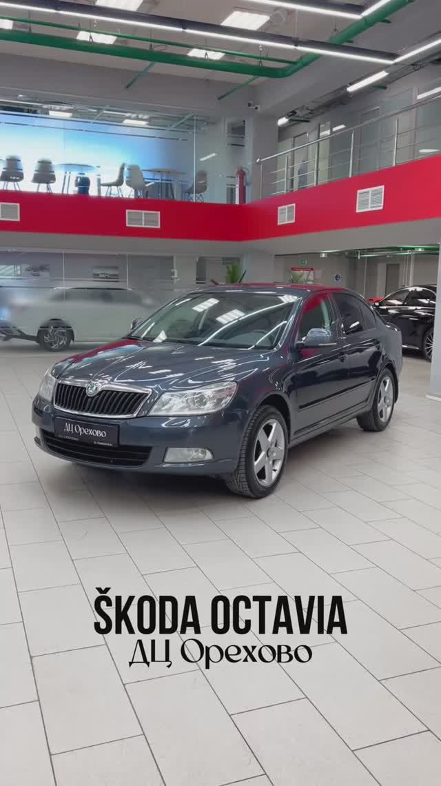Škoda Octavia  ДЦ Орехово