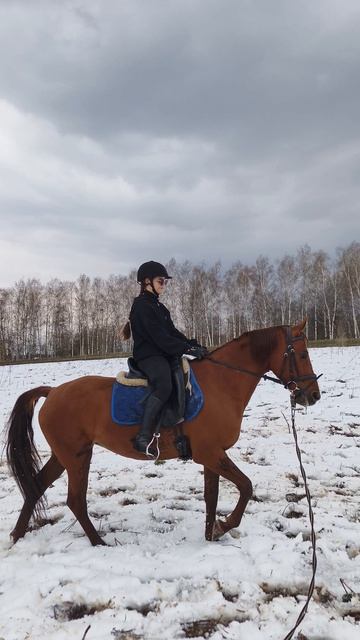 Вика и Эмбер Грейс Кас шаг на корде начинаем тренировки на новой лошадке.