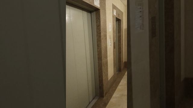 Варш 19к2 кв 906