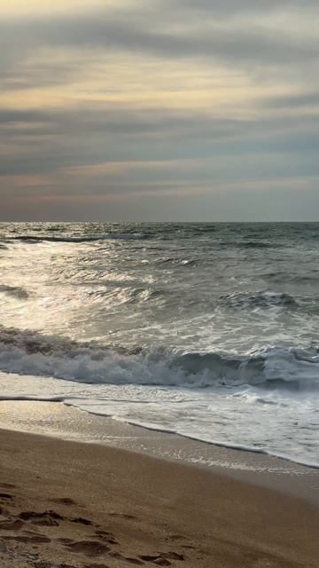 Крым 2026 Азовское море! А какое море любите вы Азовское или Черное? крым азовскоеморе крым2026