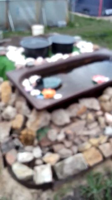 Утка вмерзла в лед