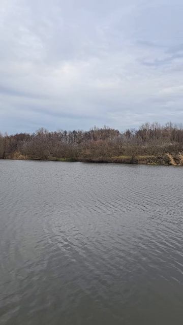 Озеро в глэмпинге Холки Camp Белгородская область