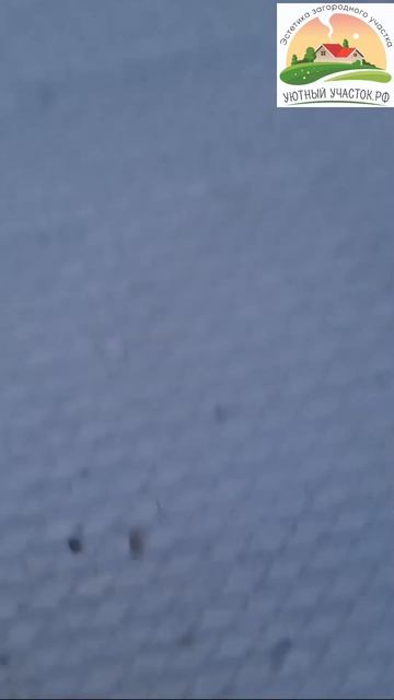 Новый объект 6