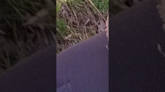 прода к видео:дом писателязаброшка