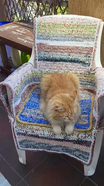 Рыжий хозяин веранды - не успела выставить стул а место уже занято!  кот вязаниекрючком стул