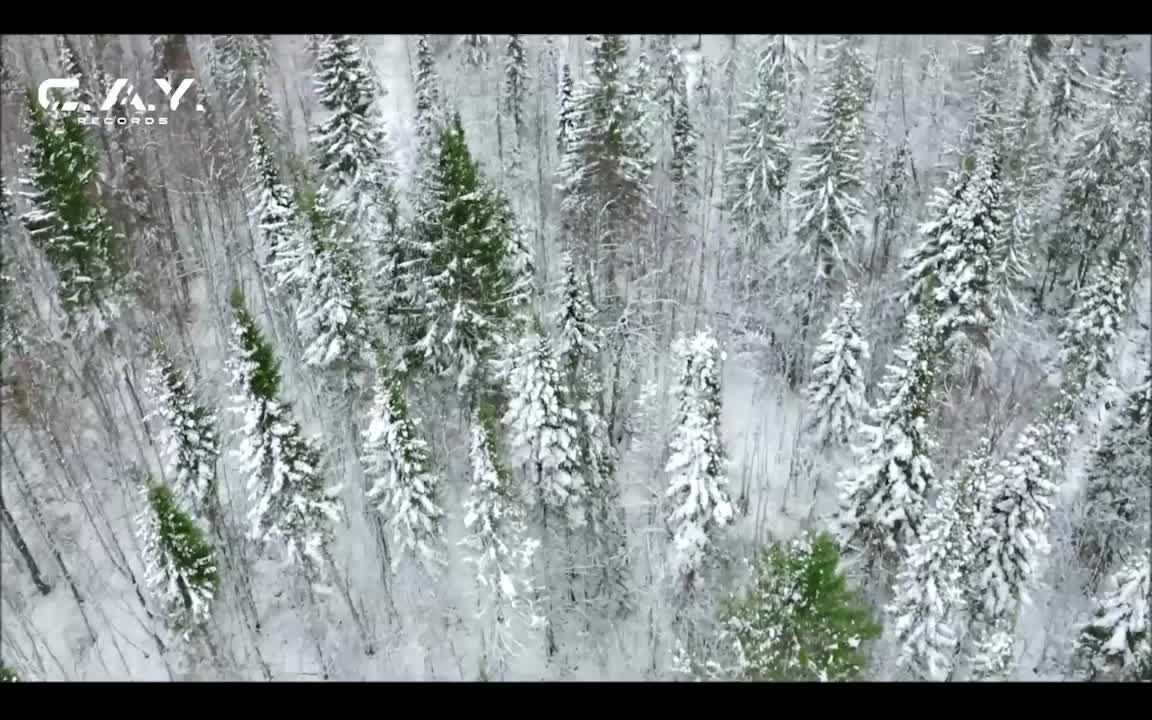 LIVE: C.A.Y. Records Digital Record Label