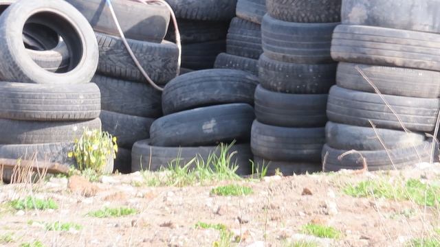 Весна везде весна. Даже в промзоне.