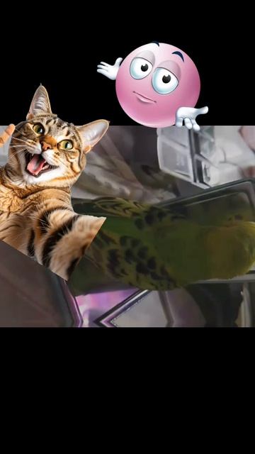 пародия на даб бабл плюс вайп только с попугаем