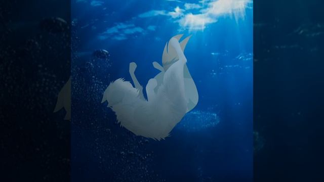 Сз и собачкенУ МЕНЯ ТЕЛЕФОН СЛОМАЛСЯ С ЭТОЙ АНИМКИ НАФИГ