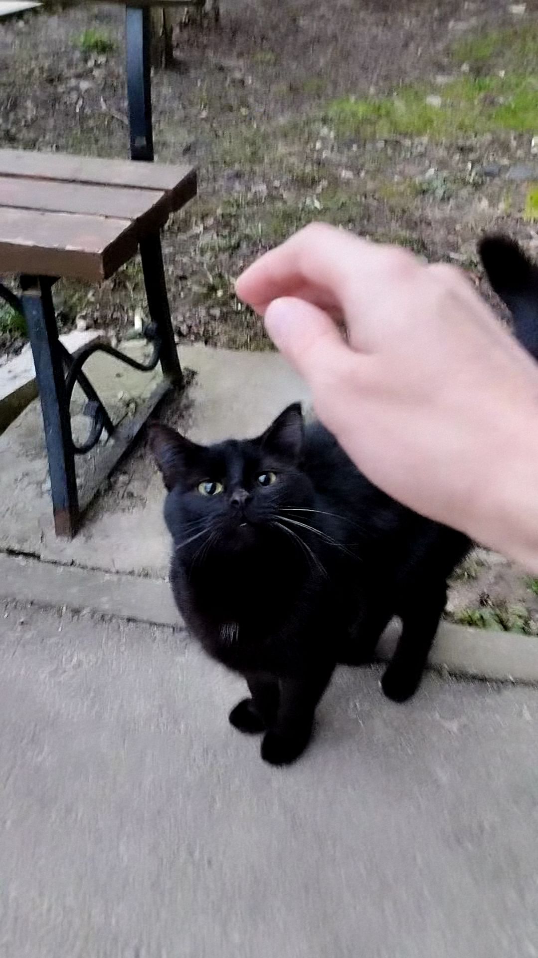 PXL_20260425_051346974