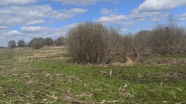 тет_20260425_112316