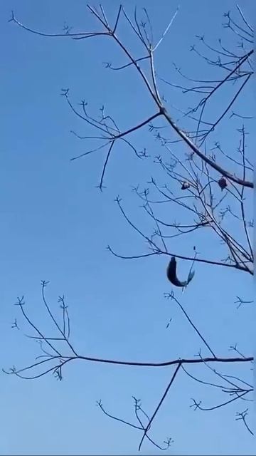 Ситуация знакомая многим!