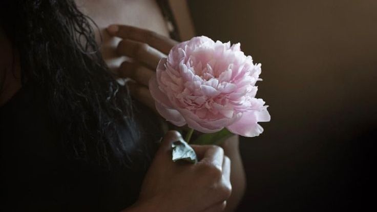 Роза посреди камней