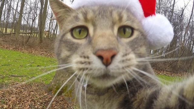 спасибо за 50 под