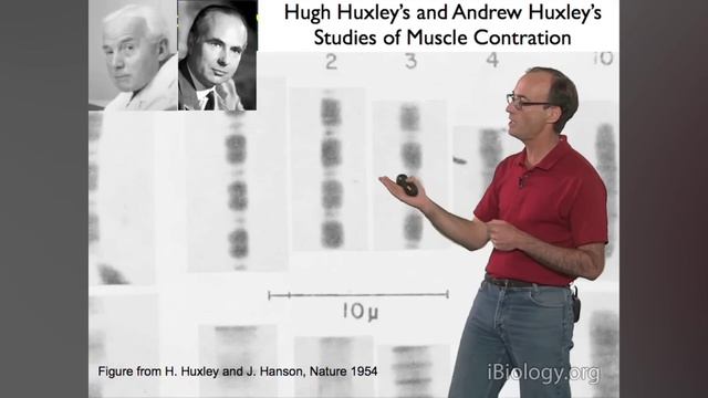 Микроскопия что мы можем изучить в световой микроскоп .mp4