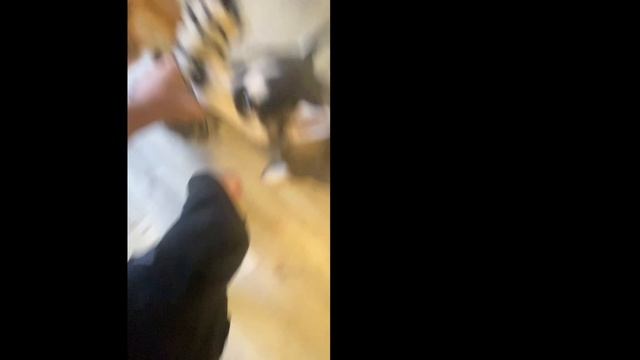 Copy_42858275-FE0E-4A13-8D27-17B9ED4036BD