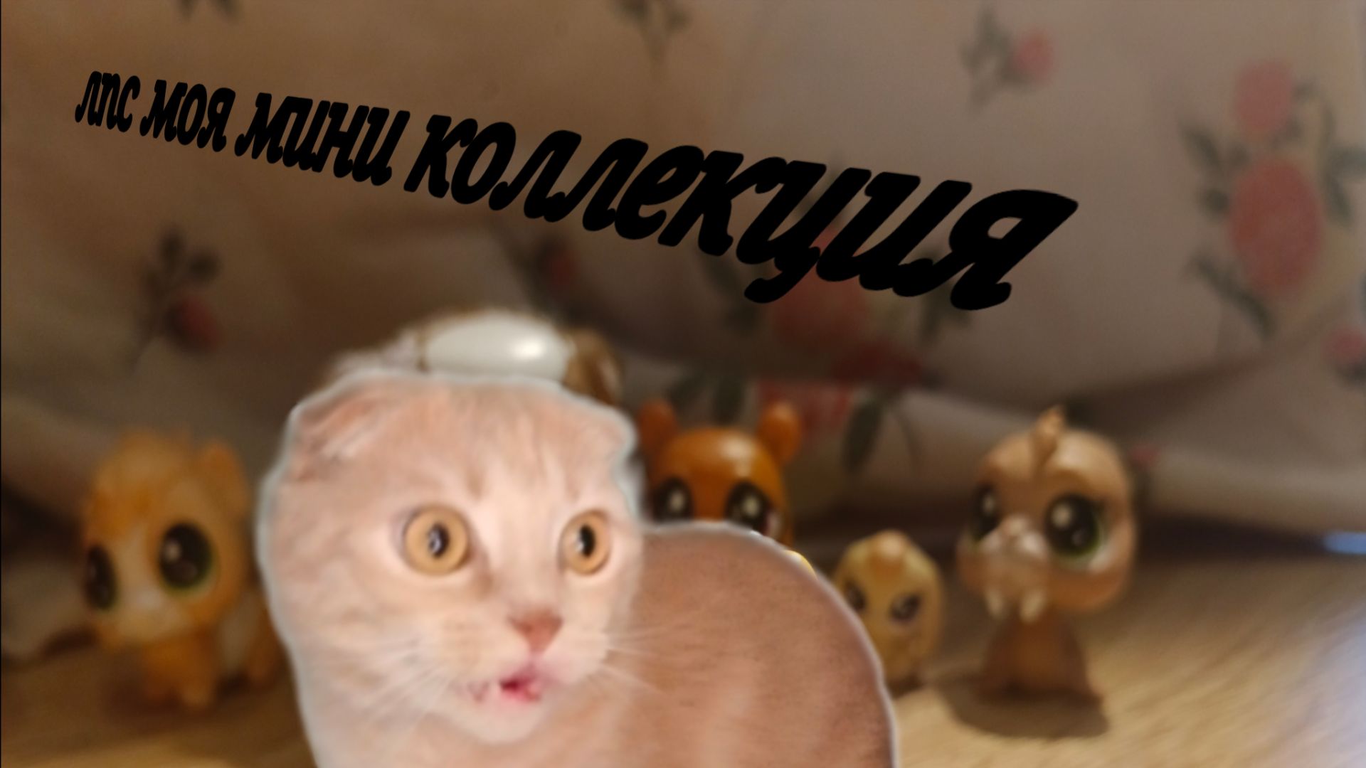 Маленькая коллекция лпсколлекция лпс.