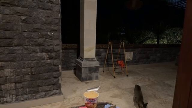 СТРИМ. ЖЕНИТЬСЯ НА МУСУЛЬМАНКЕ. МЕНЯ УКУСИЛ ЛУВАК!