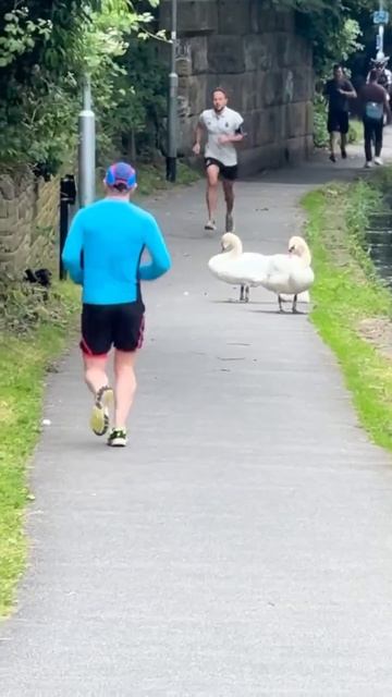 Video_2026-03-06_11-30-21