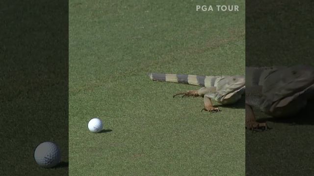 Video_2026-03-06_10-50-15