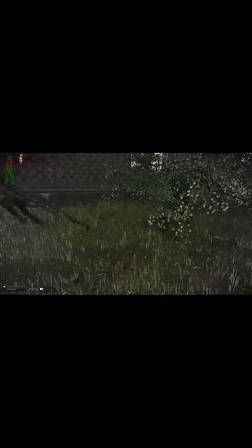 EFT момент! Tarkov Gaming Eft