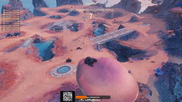 Это мои грибы