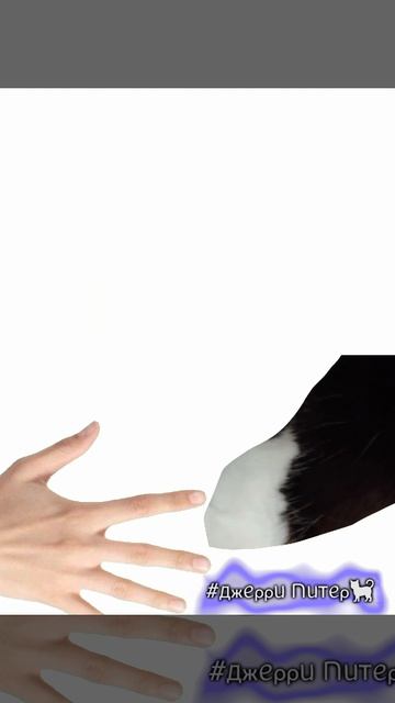 ну я пыталась😔