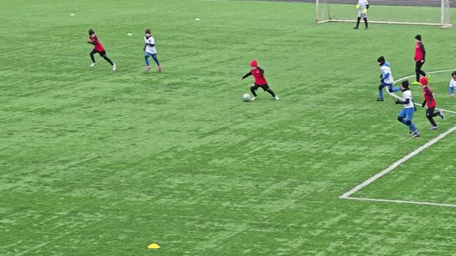 шортс фшм-спартак 2026