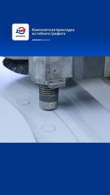 Армированная композитная прокладка из гибкого графит-ZHENGHAI SEAL-1