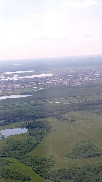 красота тундра