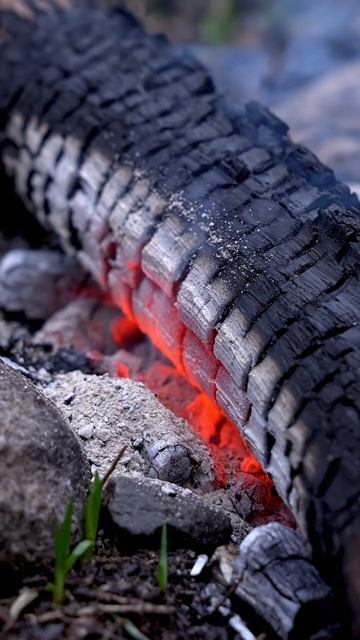 Там где зола сходит а жар остаётся