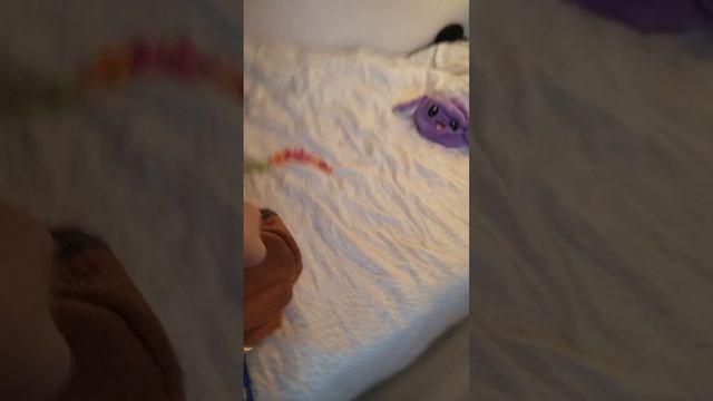 1000012498.mp4