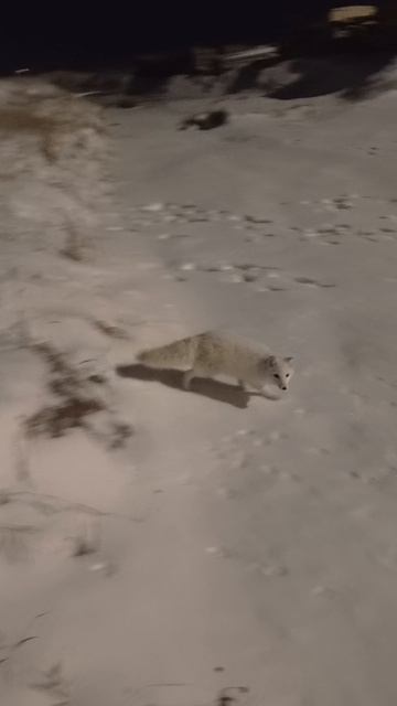 есть хочешь