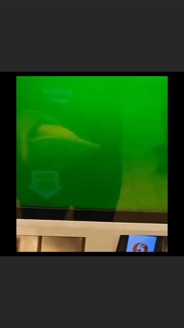 Film Like Short Yappy