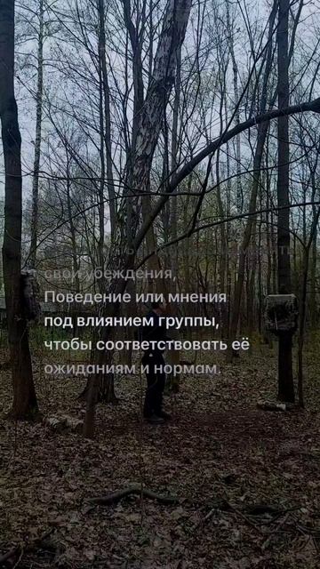 1045 473
Конформность Стремление быть таким как все. Люди Часто Копируют Стиль Взгляды И Даже О