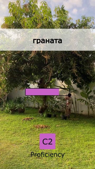 🧩 Челлендж дня: Выучи 5 слов C2 (13 May 2026)