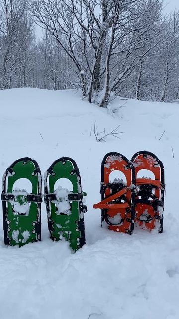 шёл шестой месяц зимы