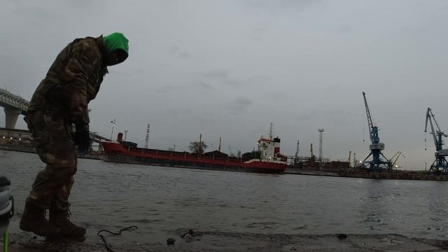 Корюшка.Паук.Канары