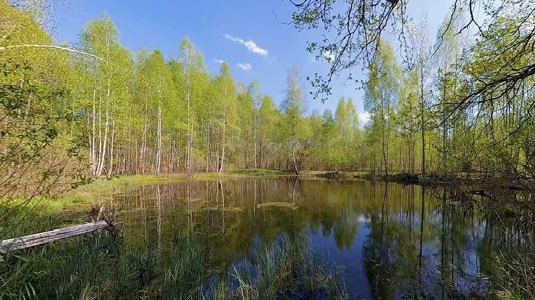 Песни на мои стихи - Лечи апрель... ПопРок