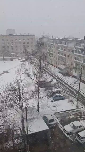 Зима в конце апреля 😅 #снег #снегвесной #снегопад #погода #метелица #метель