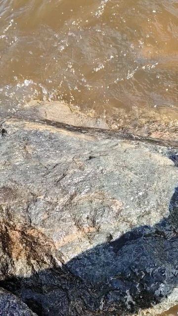 1000028475.mp4