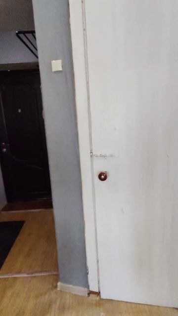 1001358415.mp4