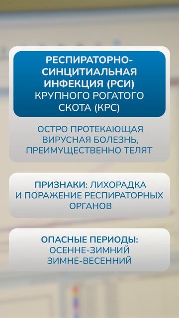 Как работает новая тест-система для выявления вируса у КРС