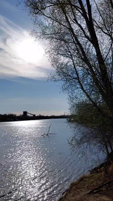 Чудесная семейная прогулка в солнечный апрельский день 🌞